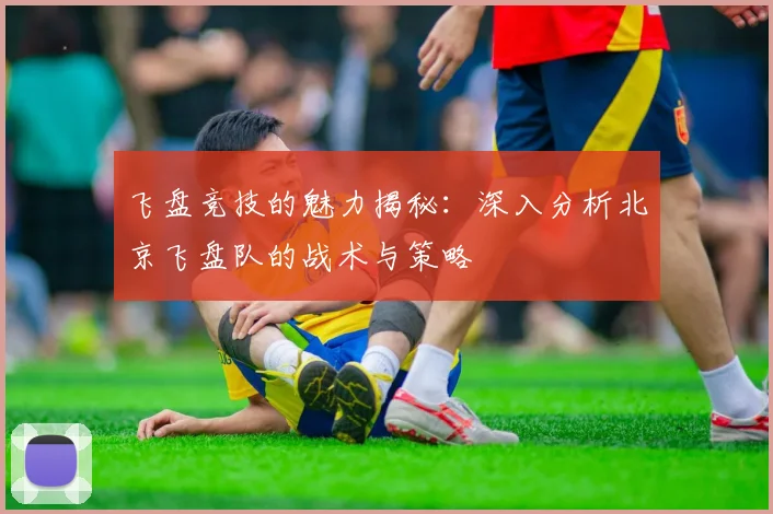 飞盘竞技的魅力揭秘：深入分析北京飞盘队的战术与策略