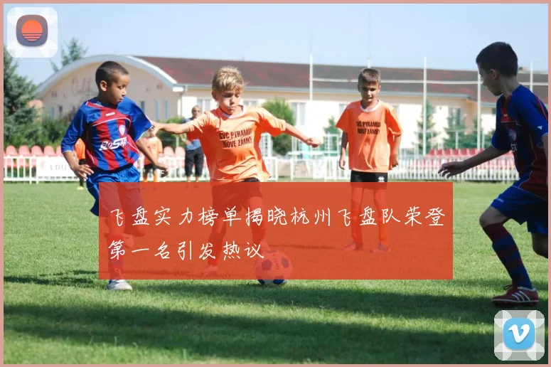 飞盘实力榜单揭晓杭州飞盘队荣登第一名引发热议