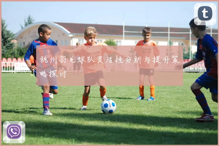 杭州羽毛球队灵活性分析与提升策略探讨