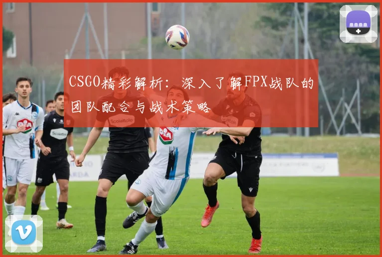 CSGO精彩解析：深入了解FPX战队的团队配合与战术策略
