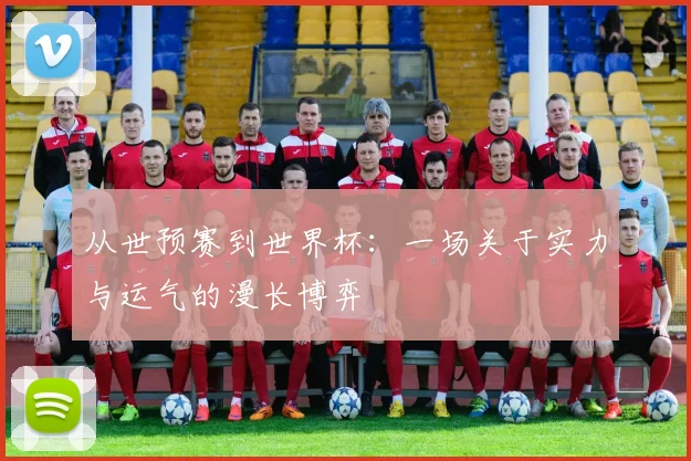 从世预赛到世界杯：一场关于实力与运气的漫长博弈