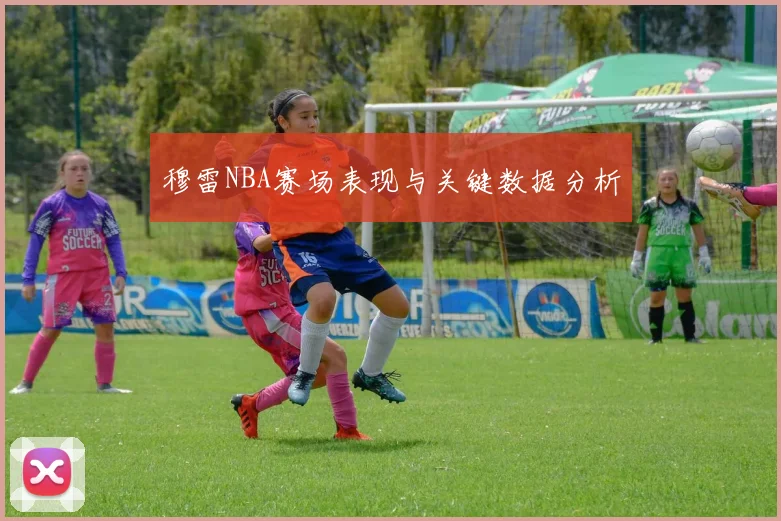 穆雷NBA赛场表现与关键数据分析