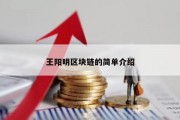 王阳明区块链的简单介绍
