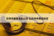比特币最便宜的公司 比比特币便宜的币