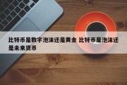 比特币是数字泡沫还是黄金 比特币是泡沫还是未来货币