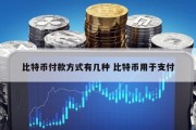 比特币付款方式有几种 比特币用于支付