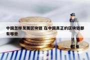 中国怎样发展区块链 在中国真正的区块链都有哪些
